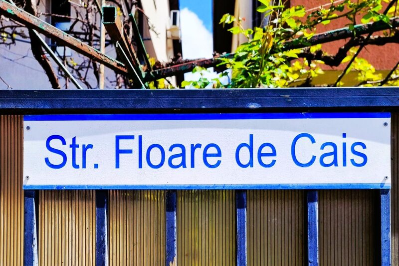 Otopeni Central str. Floare de Cais, Ilfov in plan secund retras de la DN1